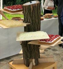 "Lumberjack Championship" InspiredWedding Cake Stand