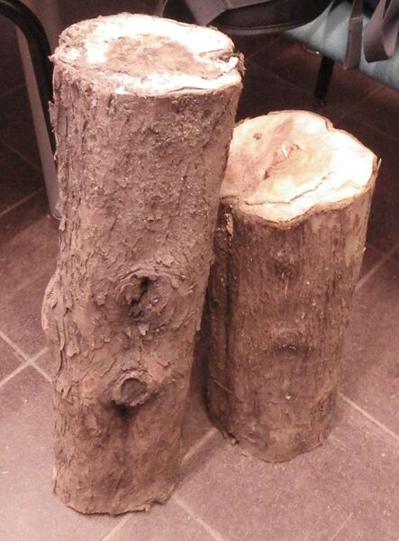 File:Airlag's yew logs.jpg